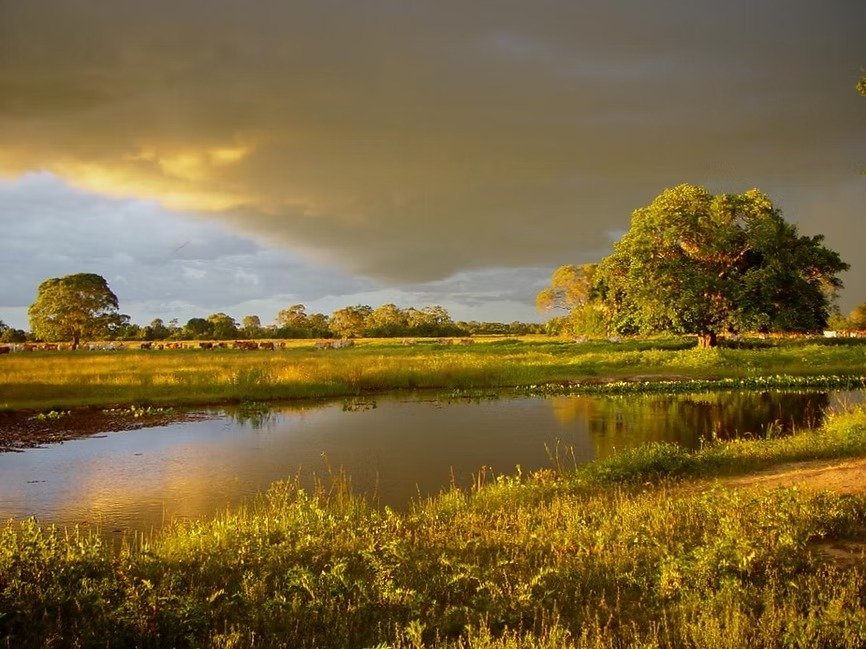 Imagem do WhatsApp de 2025-11-07 à(s) 15.02.39_ec04705e