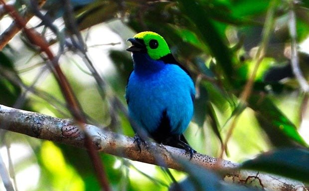 Imagem do WhatsApp de 2025-11-07 à(s) 15.40.46_8609752e